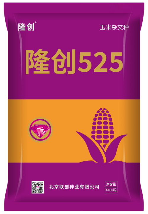 隆創525